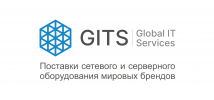 GLOBAL IT SERVICES