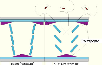 pva-ips-3.jpg