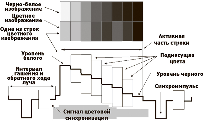 televizionnye-standarty-preobrazovanie-formatov-1.jpg