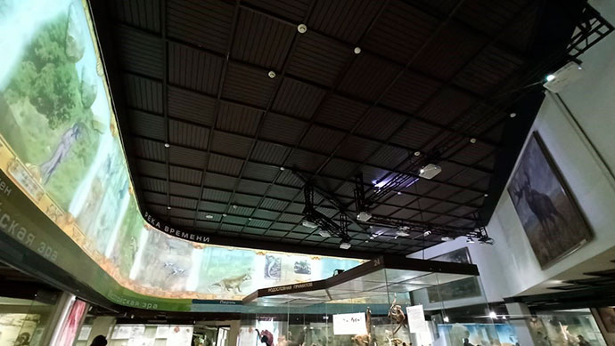 proektory-epson-v-gosudarstvennom-darvinovskom-muzee-2.jpg
